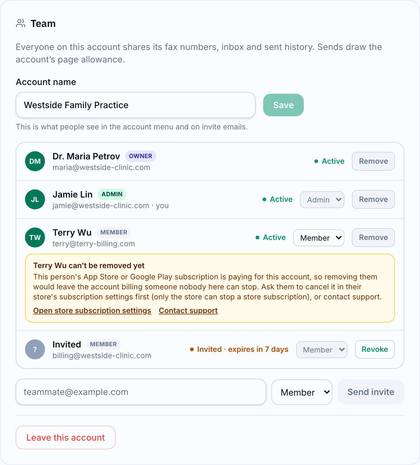 The Team card in Settings, showing the member list with roles and a pending invite
